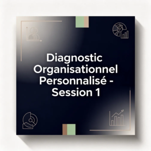 Diagnostic Organisationnel Personnalisé - Session 1