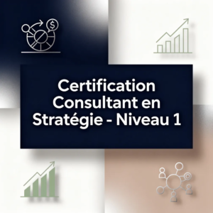Certification Consultant en Stratégie - Niveau 1