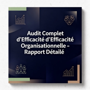 Audit Complet d'Efficacité Organisationnelle - Rapport Détaillé